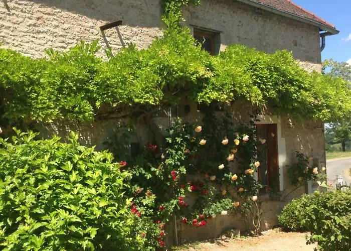 Authentique Grange Du Xveme Siecle Avec Jardin Et Animaux Admis - Fr-1-489-275 別荘 Saint-Étienne-de-Vicq