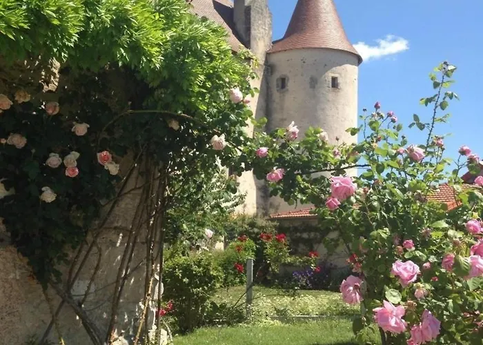Authentique Grange Du Xveme Siecle Avec Jardin Et Animaux Admis - Fr-1-489-275 * Saint-Étienne-de-Vicq