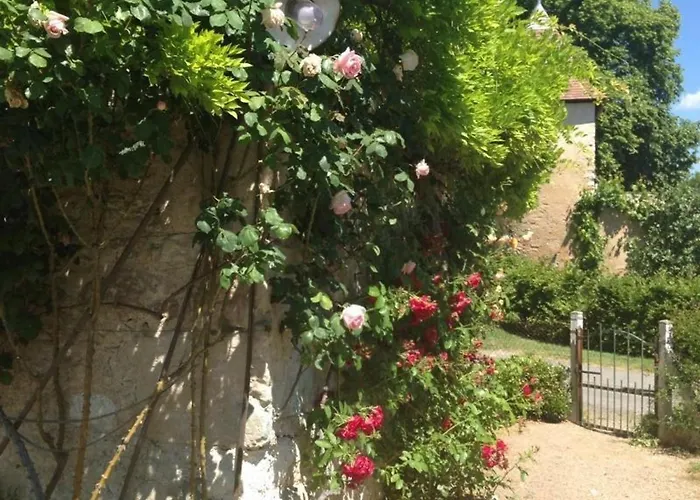 別荘 Authentique Grange Du Xveme Siecle Avec Jardin Et Animaux Admis - Fr-1-489-275 *