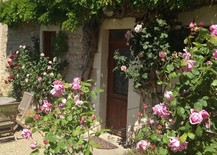 Authentique Grange Du Xveme Siecle Avec Jardin Et Animaux Admis - Fr-1-489-275 *